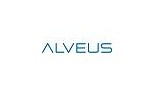 Alveus