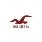 Hollister