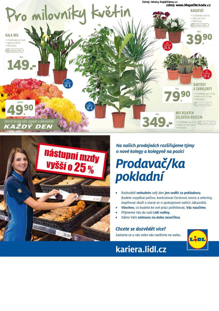 Stránka č. 38 - Akční leták Lidl