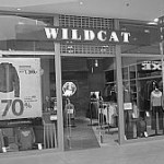 Wildcat