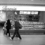 Paneria