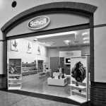 Scholl